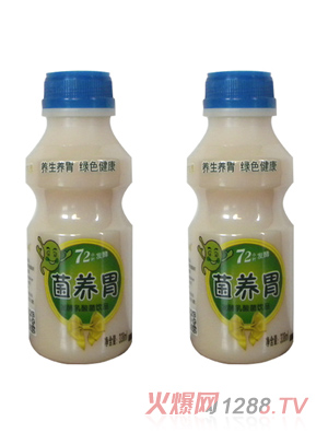 银鹭 原菌养胃 绿色