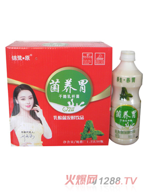 银鹭 原菌养胃 箱装
