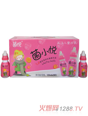 菌悦菌小悦6