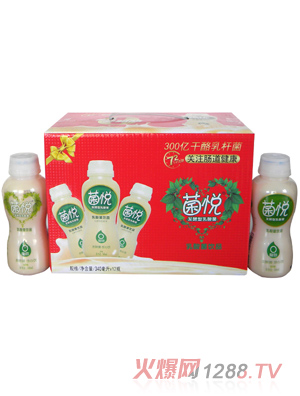 菌悦乳酸菌4