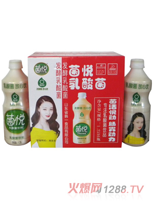 菌悦乳酸菌1