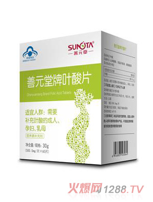 善元堂牌叶酸片