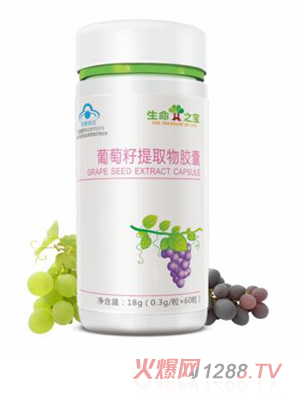 生命之宝-葡萄籽提取物胶囊
