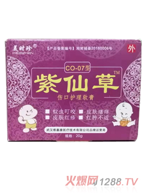 武汉维嘉康医疗技术有限公司