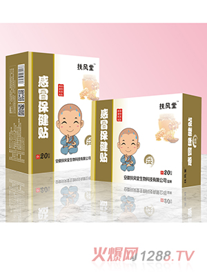 扶风堂感冒保健贴 益