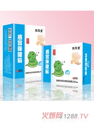 扶风堂感冒保健贴 正