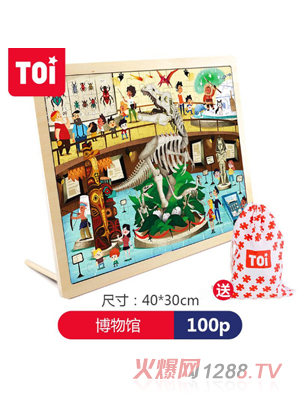 TOI 100片拼图-博物馆