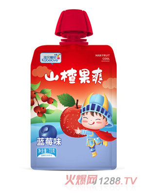 佳贝爱尼山楂果爽-蓝莓味