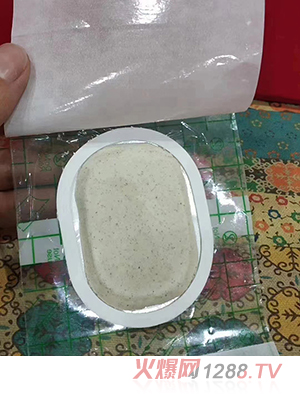 沙蒿子透皮贴