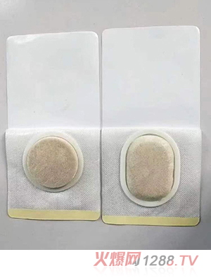 沙蒿子透皮贴