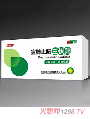 天施叶桂宣肺止咳三伏贴盒装