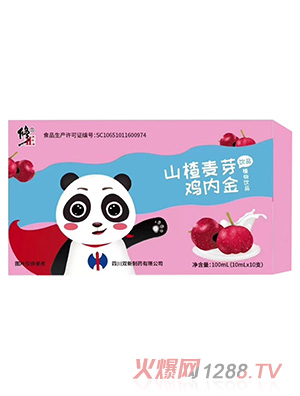 修正药业集团四川双新制药有限公司